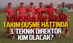Takım Düşme Hattında, 3. Teknik direktör kim olacak?