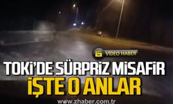 Zonguldak TOKİ'de sürpriz misafir! İşte o anlar...