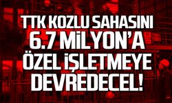 TTK Kozlu sahasını 6.7 milyona özel işletmeye devredecek!