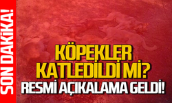 Zonguldak’ta ölümlerden kim sorumlu? Resmi açıklama geldi!