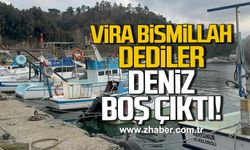 Vira bismillah dediler, deniz boş çıktı: Karadeniz'de palamut yok!