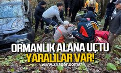 Zonguldak'ta otomobil ormanlık alana uçtu, 2 yaralı