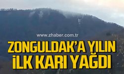 Zonguldak Gümeli Beldesi'nde yılın ilk karı yağdı!