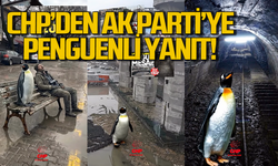 CHP’den de  AK Parti’ye Penguenli yanıt: Sürüden ayrılan penguen gerçekleri gördü