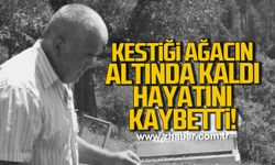 Bartın'da kestiği ağacın altında kaldı hayatını kaybetti