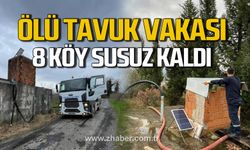 Alaplı'da ölü tavuk vakası. 8 köy susuz kaldı.
