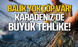 Karadeniz'de büyük tehdit! Ağlarda balık yok, çöp var