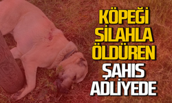 Köpeği silahla öldüren şahıs adliyede!