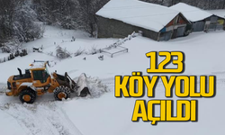 Kar nedeniyle kapanan 123 köy yolu açıldı