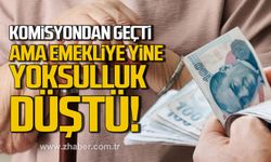 Tüm Emeklilerin Sendikası'ndan tepki. "Emekliye dayatılan şey, hak değil; sadaka düzenidir"