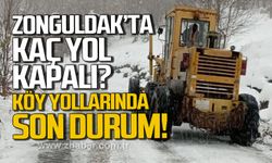 Zonguldak'ta yollarda son durum. Kaç köy yolu kapalı