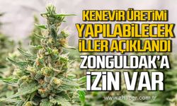 Resmi Gazetede yayımlandı. Kenevir üretimi yapılabilecek iller açıklandı.