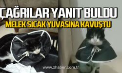 Zonguldak'ta o kediden haber var. Melek sıcak yuvasına kavuştu.