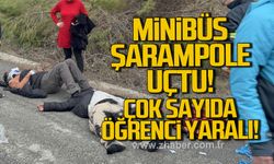 Karabük'te yabancı öğrencileri taşıyan minibüs şarampole uçtu: 17 yaralı