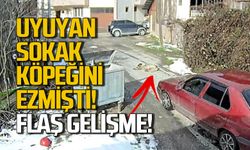 Uyuyan sokak köpeğini arabayla ezen sürücü yakalandı