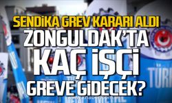 Zonguldak’ta kaç işçi greve gidiyor? Sendika grev kararı aldı
