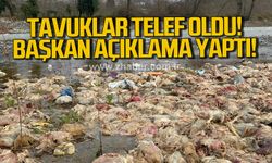 Başkan Nuri Tekin'den su güvenliği açıklaması