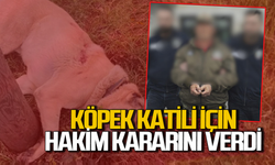 Köpeği silahla öldüren şahıs için hakim kararını verdi