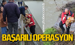 İtfaiye ekiplerinden köpek kurtarma operasyonu