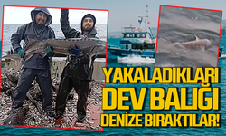 Zonguldak’ta dev balık yakaladılar, denize geri saldılar