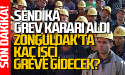 Zonguldak’ta kaç işçi greve gidiyor? Sendika grev kararı aldı