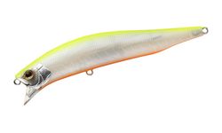 Maket Balıkları Nedir? Ne İşe Yarar?