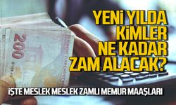 Yeni Yılda Kimler Ne Kadar Zam Alacak? İşte Meslek Meslek Zamlı Memur Maaşları