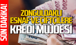 Zonguldaklı esnaf ve çiftçilere kredi müjdesi milletvekilinden geldi