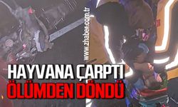 Motosiklet sürücüsü hayvana çarptı sürücü ölümden döndü