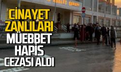 Arazi cinayeti davasında karar verildi: Sanıklara müebbet hapis