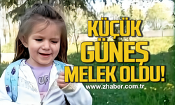 İstanbul'dan, Çaycuma'ya gelen acı haber. Anne yoğun bakımda, küçük Güneş’i kaybettik