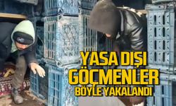 Yasa dışı göçmenler Düzce'de yakalandı