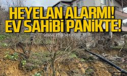 Alaplı'da heyelan alarmı. Ev sahibi panikte