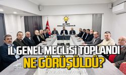 AK Parti İl Genel Meclis Toplantısı gerçekleştirildi. Ne görüşüldü?