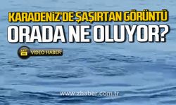 Karadeniz'de şaşırtan görüntü. Orada ne oluyor?
