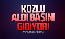 Kozlu aldı başını gidiyor!