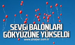 Kdz. Ereğli, sevgiyi paylaştı