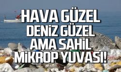 Deniz güzel, hava güzel ama Kozlu Sahili mikrop yuvası!