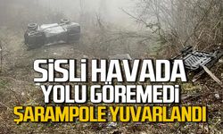 Siste yolu göremedi, şarampole yuvarlandı