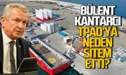 Bülent Kantarcı TPAO'ya neden sitem etti?