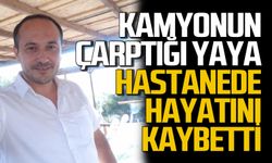 Kamyonun çarptığı yaya hayatını kaybetti