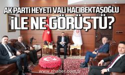 AK Parti Heyeti'nden Vali Osman Hacıbektaşoğlu'na ziyaret.