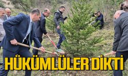 Hükümlüler fidan dikti