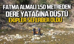 Zonguldak'ta Fatma Almalı 150 metreden dere yatağına düştü.