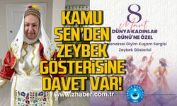 Kamu Sen'den zeybek gösterisine davet var