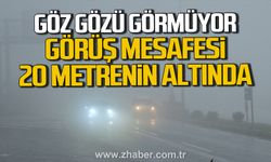 Zonguldak’ta 3 gündür sis etkili oluyor. Görüş mesafesi 20 metrenin altına düştü.