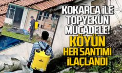 Zonguldak’ta kokarca ile topyekûn mücadele sürüyor