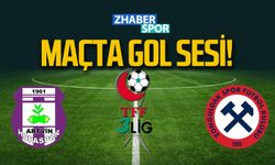 Artvin Hopaspor- Zonguldakspor maçında ikinci gol sesi