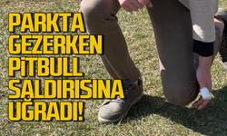 Köpeği ile parkta gezerken pitbull saldırısına uğradı