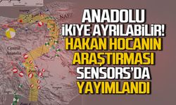 Anadolu ikiye ayrılabilir. Hakan hocanın araştırması sensors'da yayımlandı